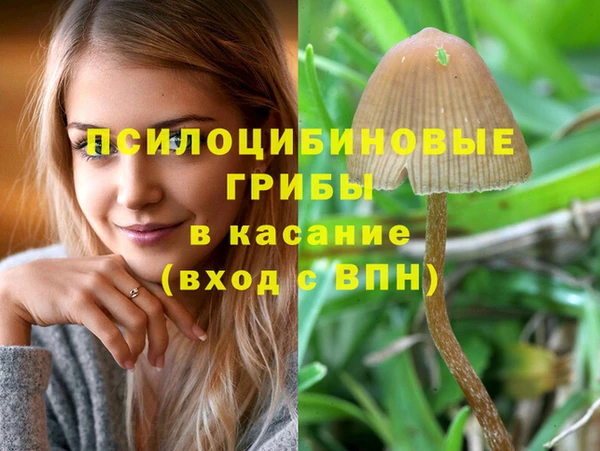 прущие крисы Нея