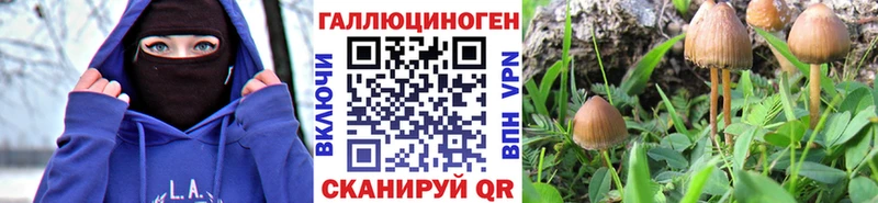 наркота Домодедово Галлюциногенные грибы Cubensis
