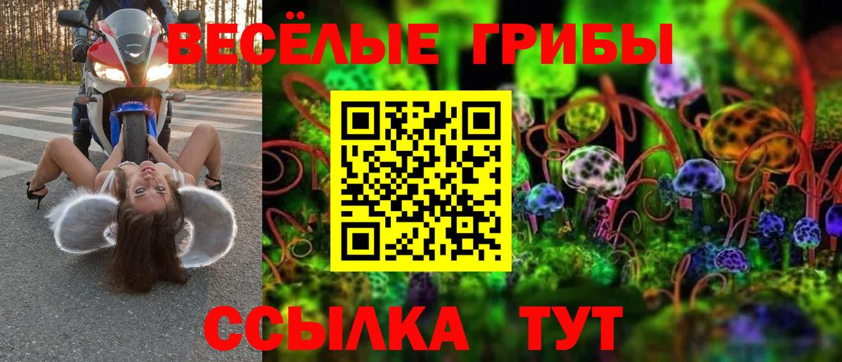Галлюциногенные грибы Magic Shrooms  Вход с VPN  где купить   Домодедово 